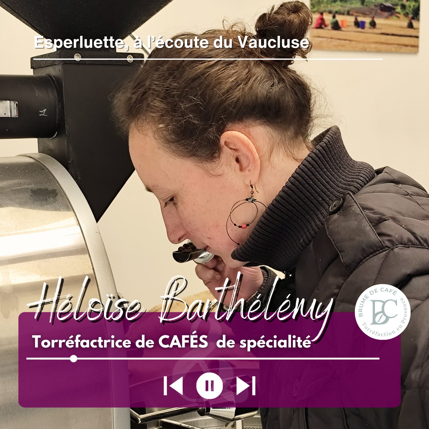 Portrait d’une torréfactrice de café à Avignon : comment Héloïse a créé Brume de Café ?